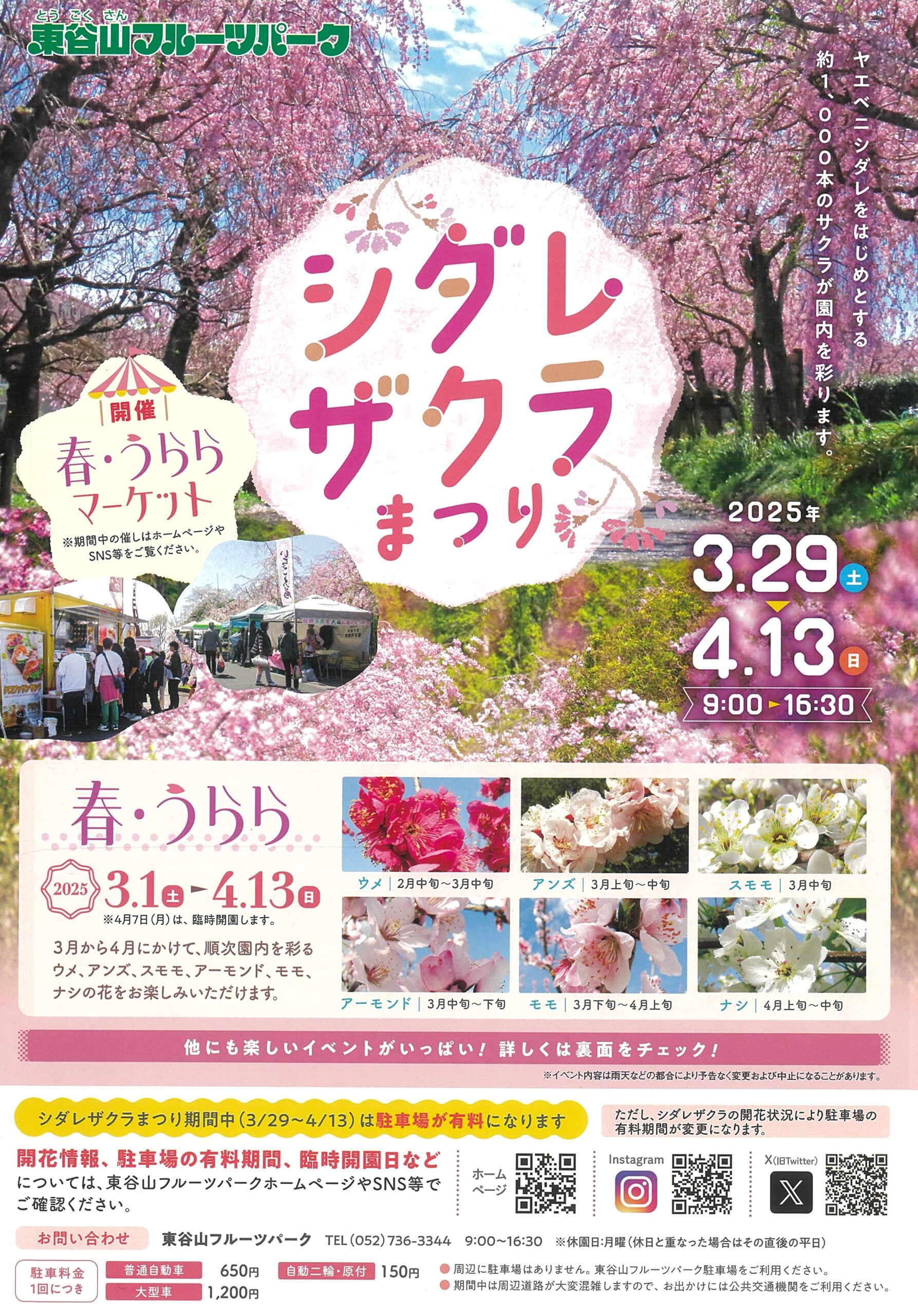 3/1～4/13　東谷山フルーツパーク　春・うらら①